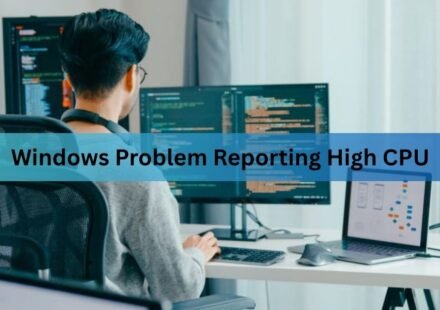 Windows Problem Reporting High CPU