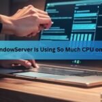 windowserver mac using cpu