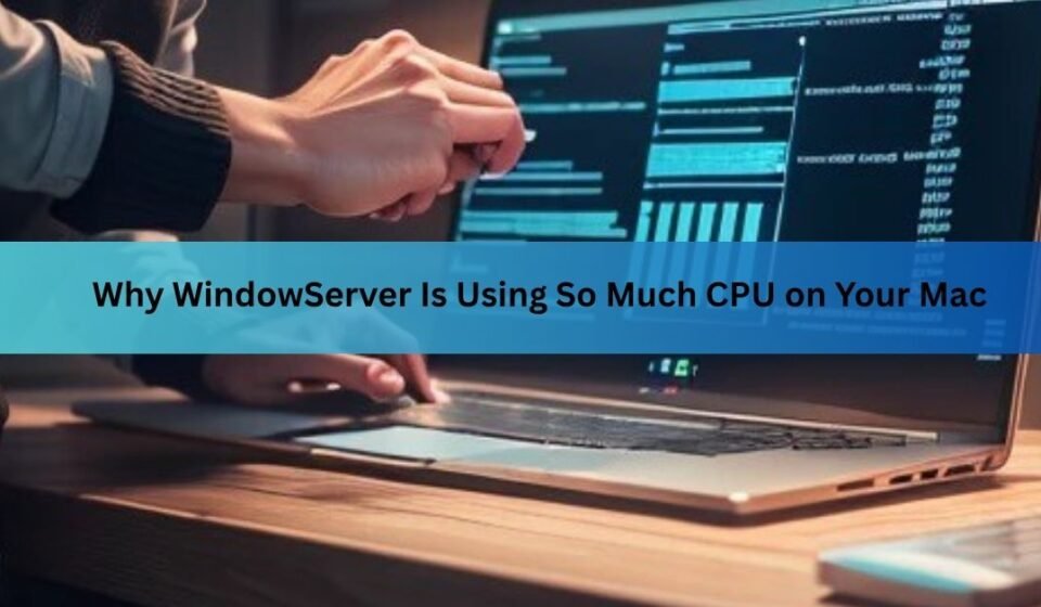 windowserver mac using cpu